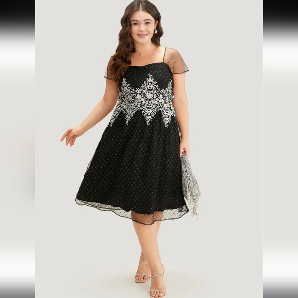 NWT Embroidered Waist Black Sparkle Mesh Dress